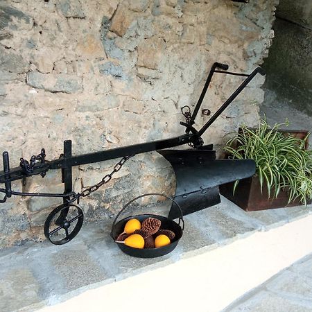 Agriturismo U'Spigu Nonna Annetta Nasino Kültér fotó